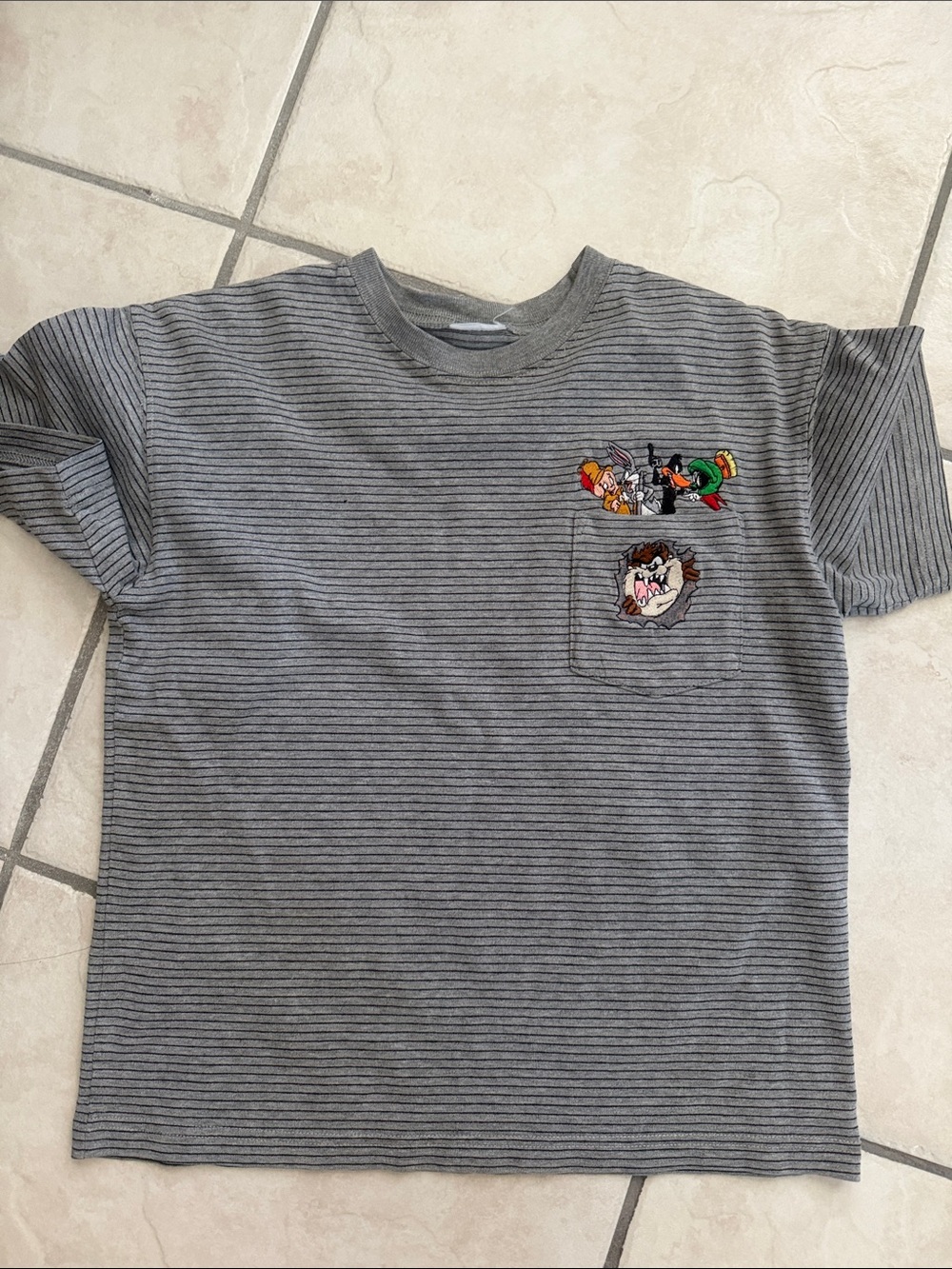 Warner bros. Kids Grey Striped Pocket Tee with Cartoon Characters